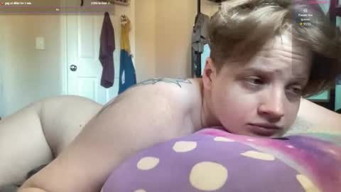 pajamajamlive online show from October 2025 06:41:01 PM