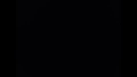   PALA online show from January 2025 10:06:02 PM