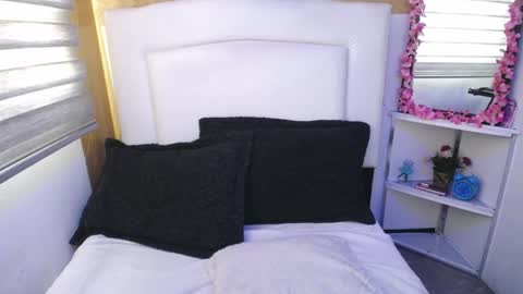 Snapshot of palmer_mix chatting on January 2025 12:40:01 PM Palmer online show from January 2025 12:40:01 PM