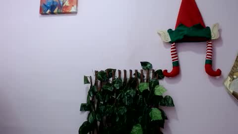 Pamela Claus online show from December 2024 03:46:02 PM