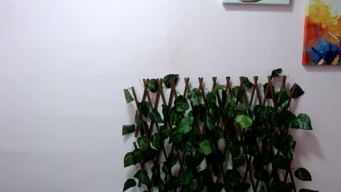 Pamela Claus online show from February 2025 05:13:02 PM