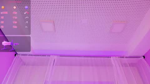  P A M  online show from February 2025 11:38:02 PM