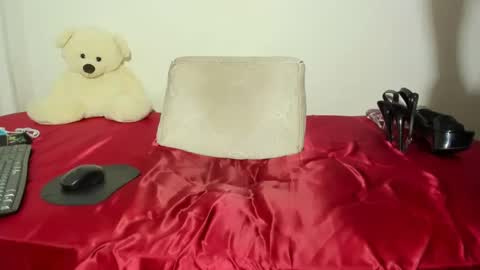 Snapshot of pamelahornyts chatting on December 2024 12:20:02 AM pamely online show from December 2024 12:20:02 AM