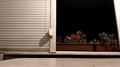 angel hris online show from November 2025 05:34:01 PM