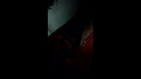 angel hris online show from November 2025 11:47:02 PM