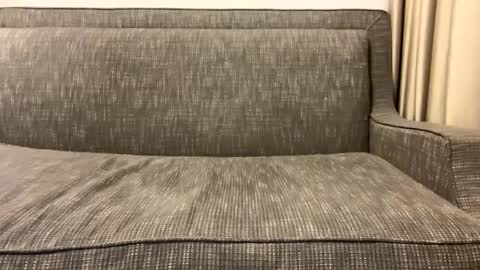 Oleg online show from February 2025 02:57:02 AM