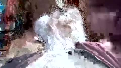 papajb70 online show from January 2025 03:26:02 AM