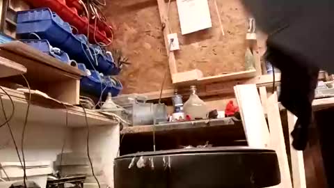 papajb70 online show from January 2025 01:05:02 AM