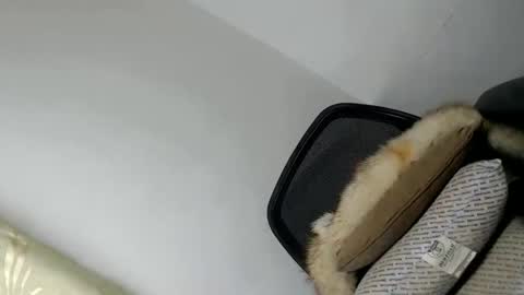 Fina Dwarf online show from January 2025 04:55:02 PM