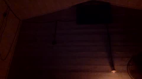 Pati24 online show from January 2025 01:03:01 AM