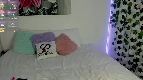 Snapshot of pau_delima__ chatting on December 2024 12:47:01 AM paulina online show from December 2024 12:47:01 AM