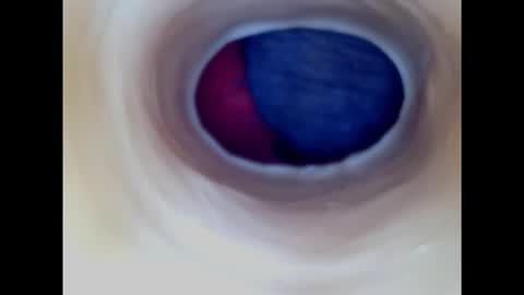 Paula 18 Aninhos online show from January 2025 05:04:01 PM
