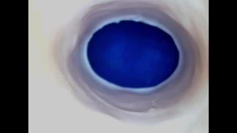 Paula 18 Aninhos online show from November 2025 07:34:02 PM