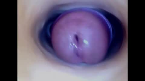 Paula 18 Aninhos online show from November 2025 11:37:01 PM