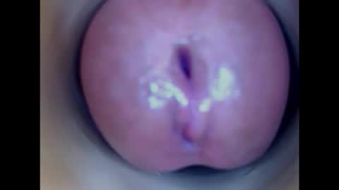 Paula 18 Aninhos online show from January 2026 11:41:02 PM