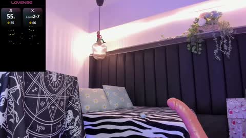 Dani online show from December 2024 08:54:02 PM