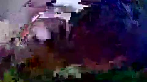 Snapshot of pay2playangel12 chatting on December 2024 10:06:02 AM Coco channel online show from December 2024 10:06:02 AM