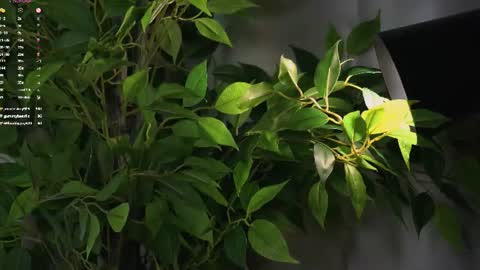 Beautiful Mila online show from July 2026 06:47:02 AM