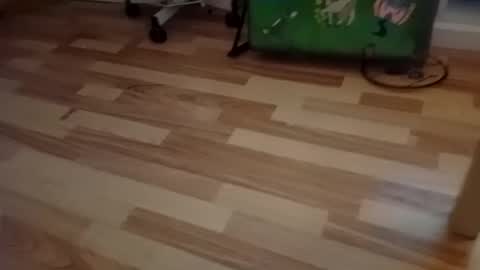 pepe_hard online show from March 2026 06:58:01 AM