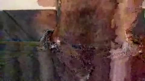 perfectFTM online show from November 2025 08:52:02 PM