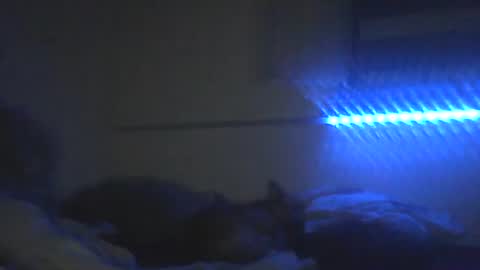 Pitsches online show from February 2026 03:10:02 AM