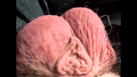 Snapshot of petrol63102 chatting on February 2026 01:09:02 PM petrol63102 online show from February 2026 01:09:02 PM