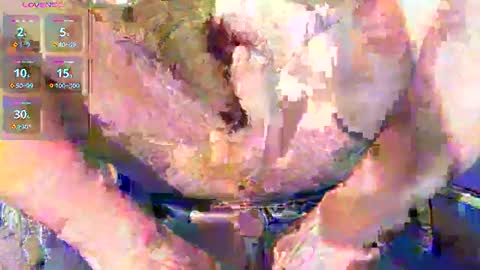 phil_up online show from January 2026 02:38:02 AM