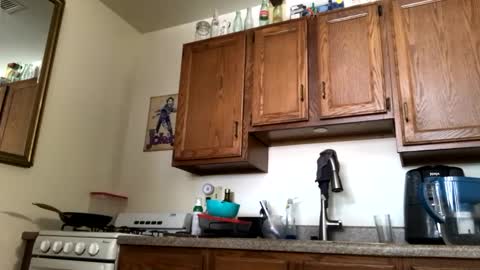 Snapshot of phildoesart chatting on January 2025 04:57:01 PM Phil online show from January 2025 04:57:01 PM