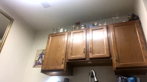 Snapshot of phildoesart chatting on February 2025 02:38:01 AM Phil online show from February 2025 02:38:01 AM