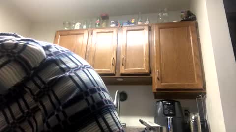 Snapshot of phildoesart chatting on February 2025 01:19:02 AM Phil online show from February 2025 01:19:02 AM