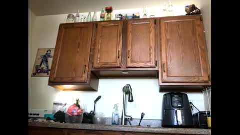 Snapshot of phildoesart chatting on March 2025 05:58:02 PM Phil online show from March 2025 05:58:02 PM