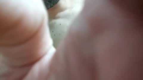 piacere39 online show from December 2024 09:16:01 PM