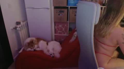 pinkladyx2 online show from February 2025 06:48:02 PM