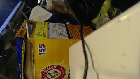 Snapshot of pisanobear chatting on February 2026 10:13:02 PM Pisanobear Daddy loose open HairyHole poppers toys online show from February 2026 10:13:02 PM