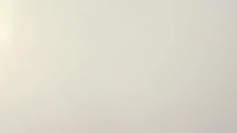 PeggedBiGuy online show from February 2026 08:53:01 AM