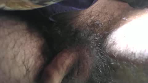 platoniclov online show from January 2026 01:59:01 PM