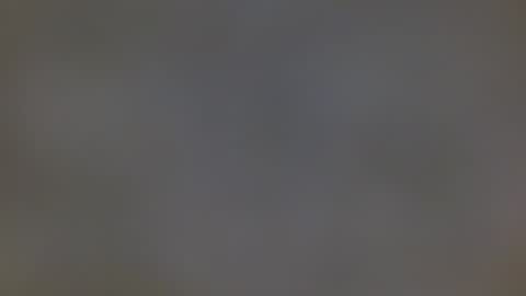 Snapshot of playboytit chatting on December 2024 10:55:02 AM playboytit online show from December 2024 10:55:02 AM