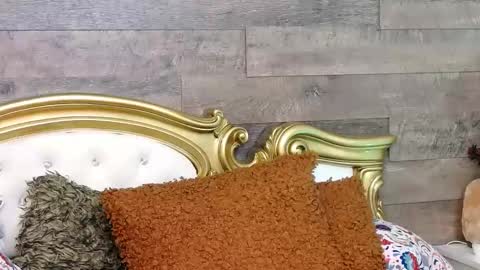 PlayfulSamy online show from January 2025 11:30:02 AM