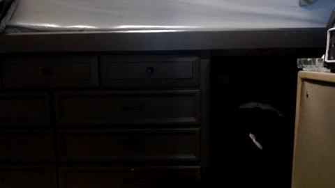 Snapshot of pleasantdinosaurus7537 chatting on November 2025 01:00:02 AM pleasantdinosaurus7537 online show from November 2025 01:00:02 AM