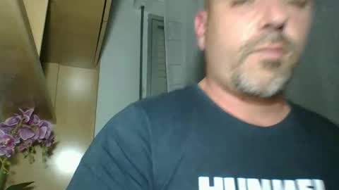 pocoyotop online show from February 2025 10:50:01 PM