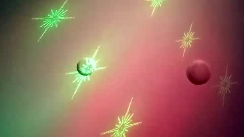 Snapshot of pollardj906 chatting on January 2025 06:35:02 AM pollardj906 online show from January 2025 06:35:02 AM