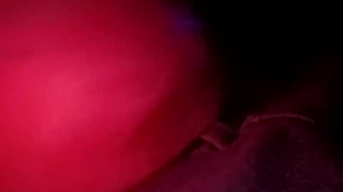 Snapshot of porkchop696974 chatting on February 2026 06:59:02 AM porkchop696974 online show from February 2026 06:59:02 AM