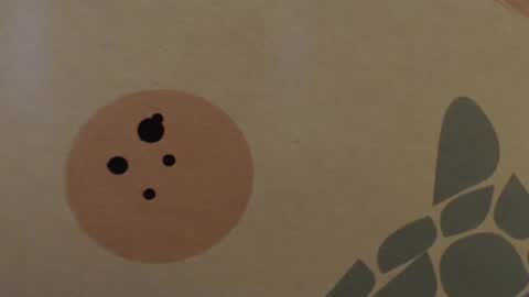 poseidonadventure88 online show from February 2025 12:39:01 PM