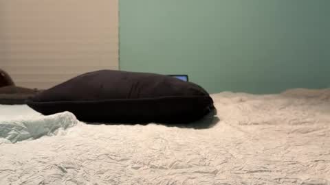 poundkakes online show from July 2026 03:31:02 AM