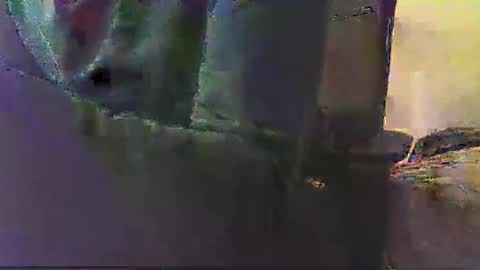 poyote69 online show from November 2025 03:05:01 AM