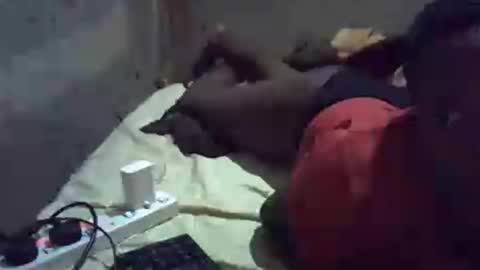precious_nesh online show from June 2026 05:37:01 PM