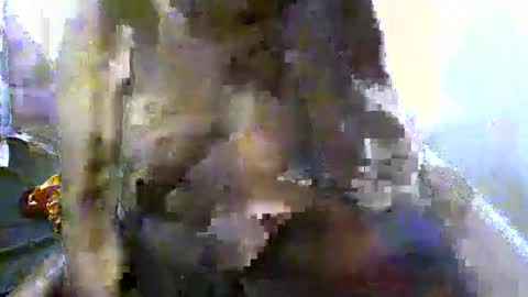 pretty_barbz online show from March 2025 03:06:01 AM