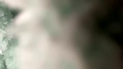 Snapshot of pretty_boy_jack chatting on December 2024 04:31:02 AM pretty_boy_jack online show from December 2024 04:31:02 AM