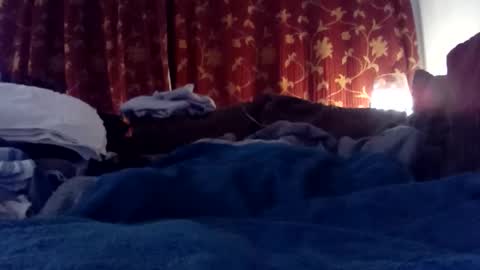 Snapshot of pretty_boy_jack chatting on February 2025 06:03:01 AM pretty_boy_jack online show from February 2025 06:03:01 AM