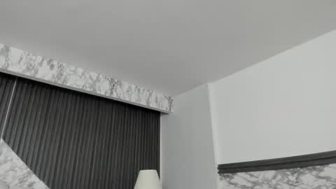 Snapshot of prettybullet chatting on February 2025 12:21:01 PM GTM-5 online show from February 2025 12:21:01 PM